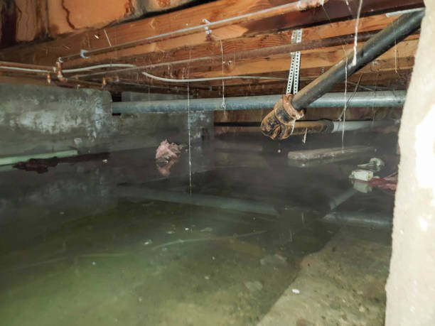 Water damage restoration insurance claims in Cherry Hills Village, CO