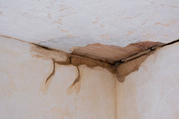 Best Ceiling water damage repair  in Cherry Hills Village, CO