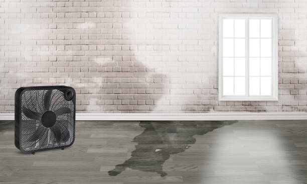 Best Flood restoration services  in Cherry Hills Village, CO