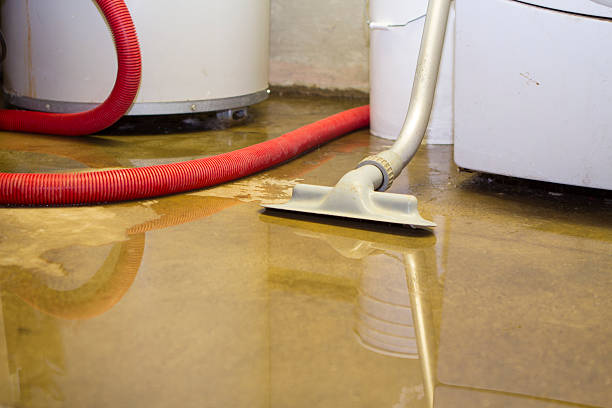 Carpet water damage restoration in Cherry Hills Village, CO