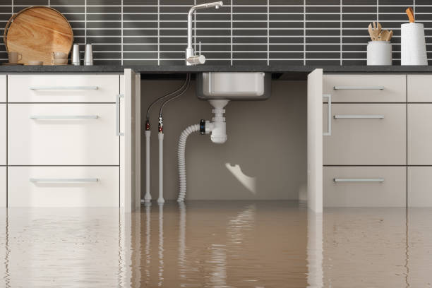 Best Flood damage cleanup  in Cherry Hills Village, CO